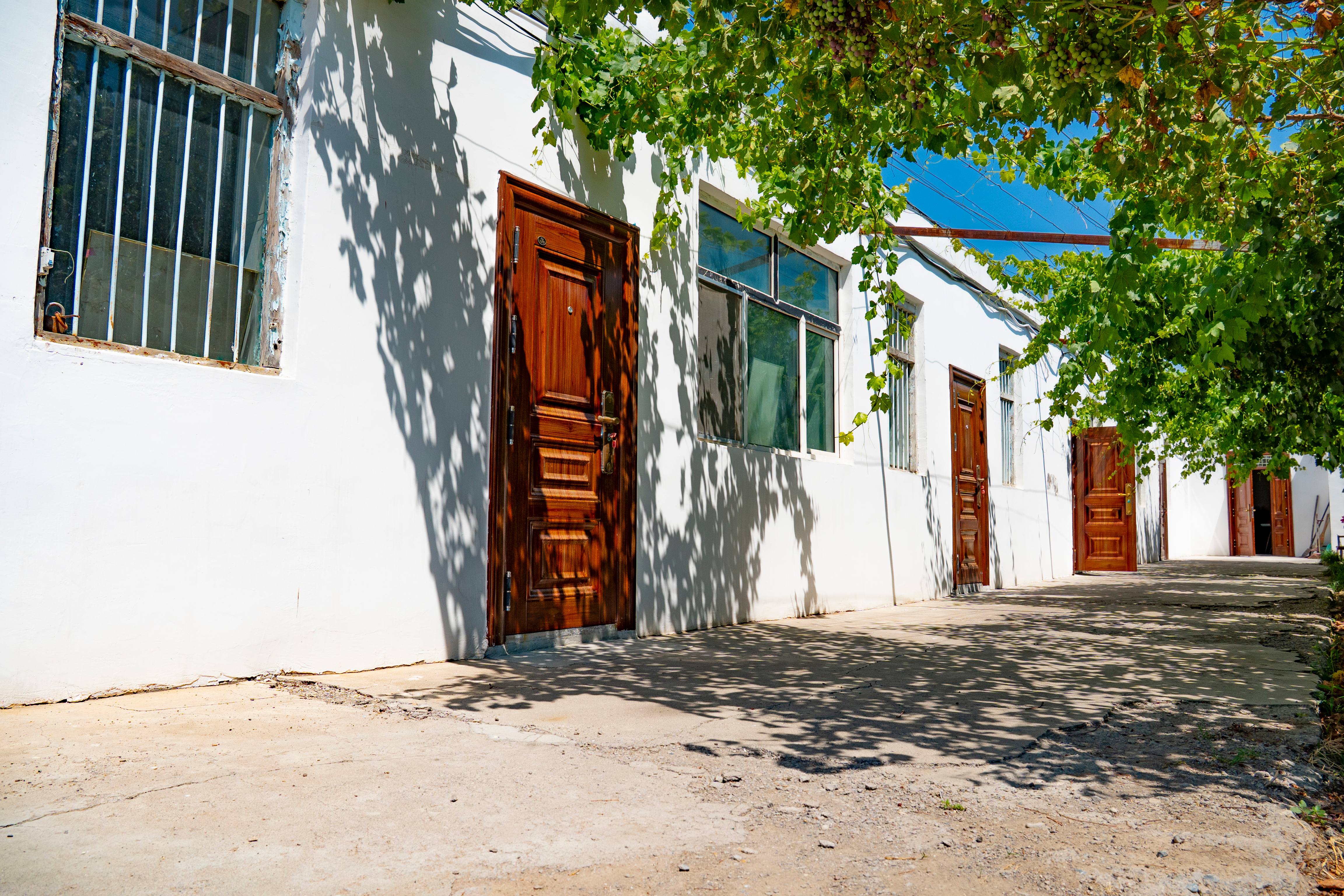 DSC05124修 DSC05124修