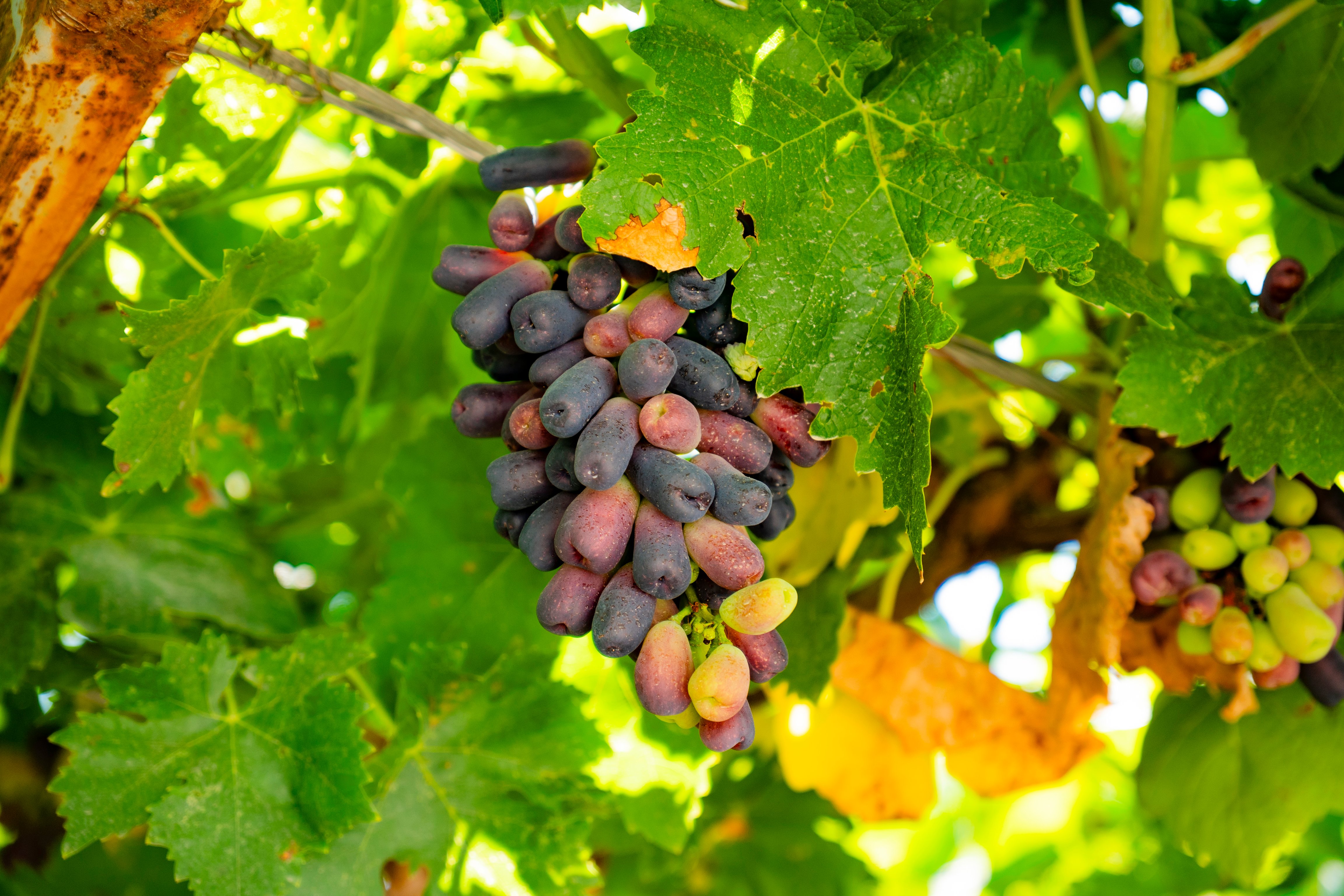 DSC05128修 DSC05128修