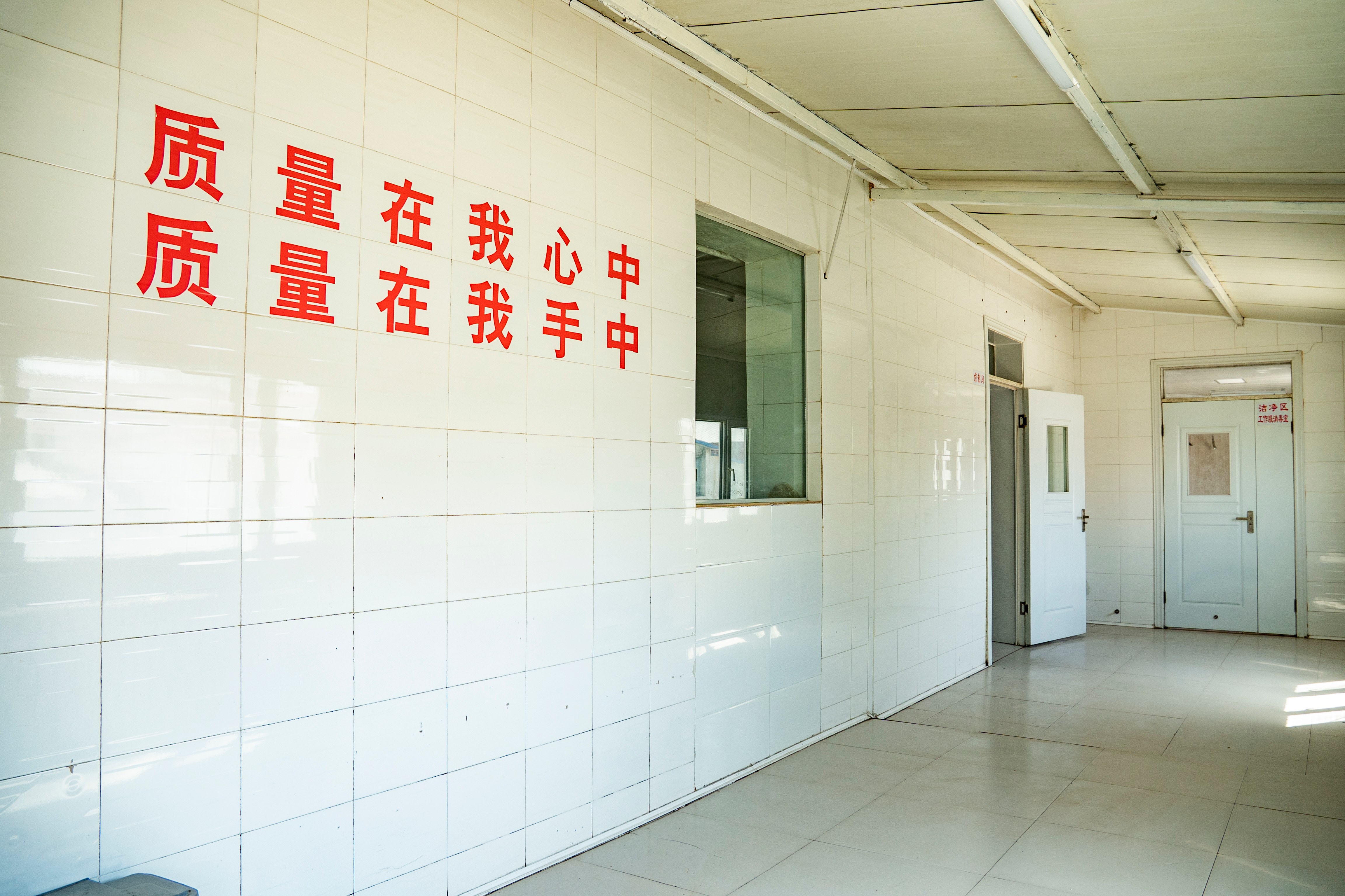 DSC05182修 DSC05182修