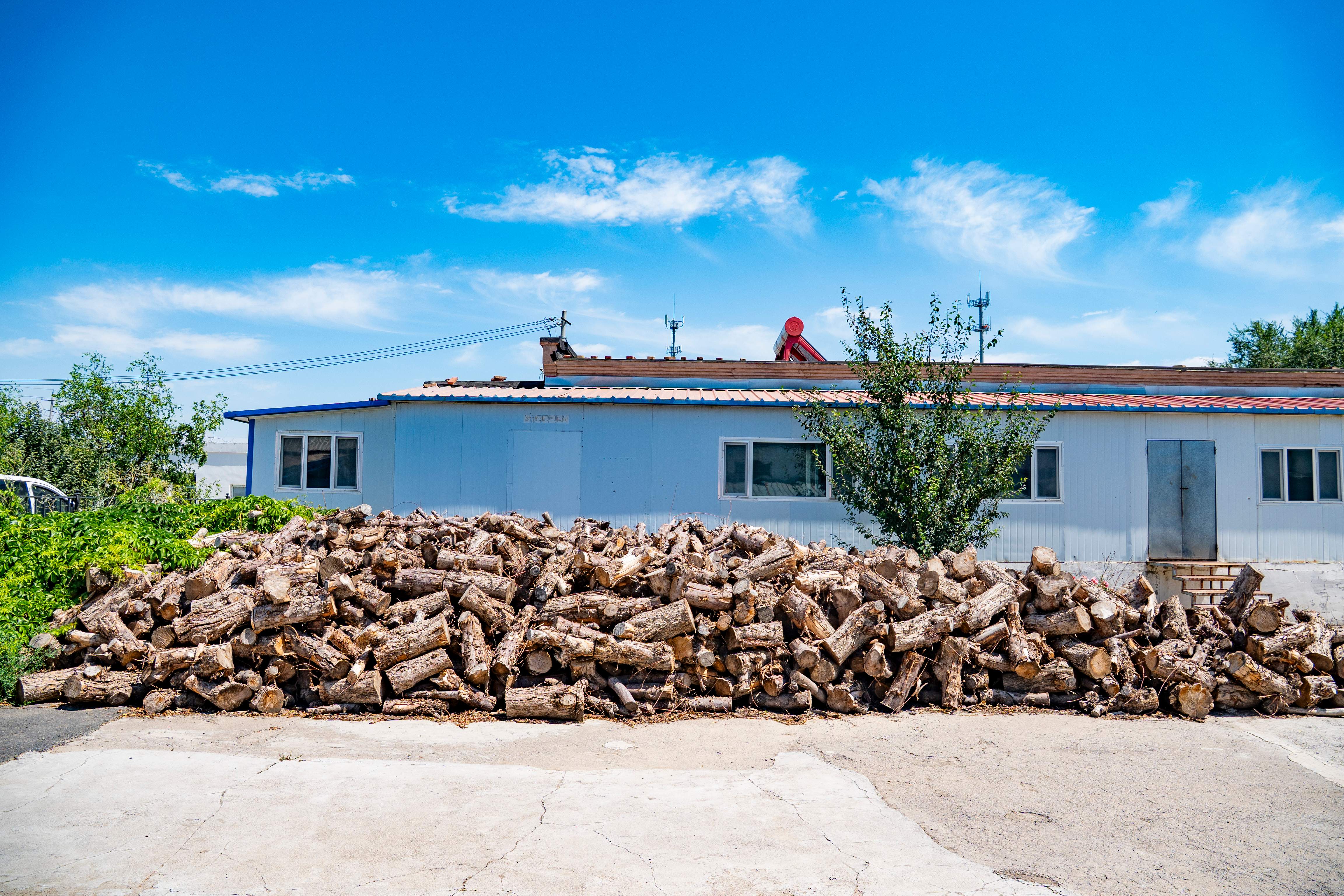 DSC05110修 DSC05110修