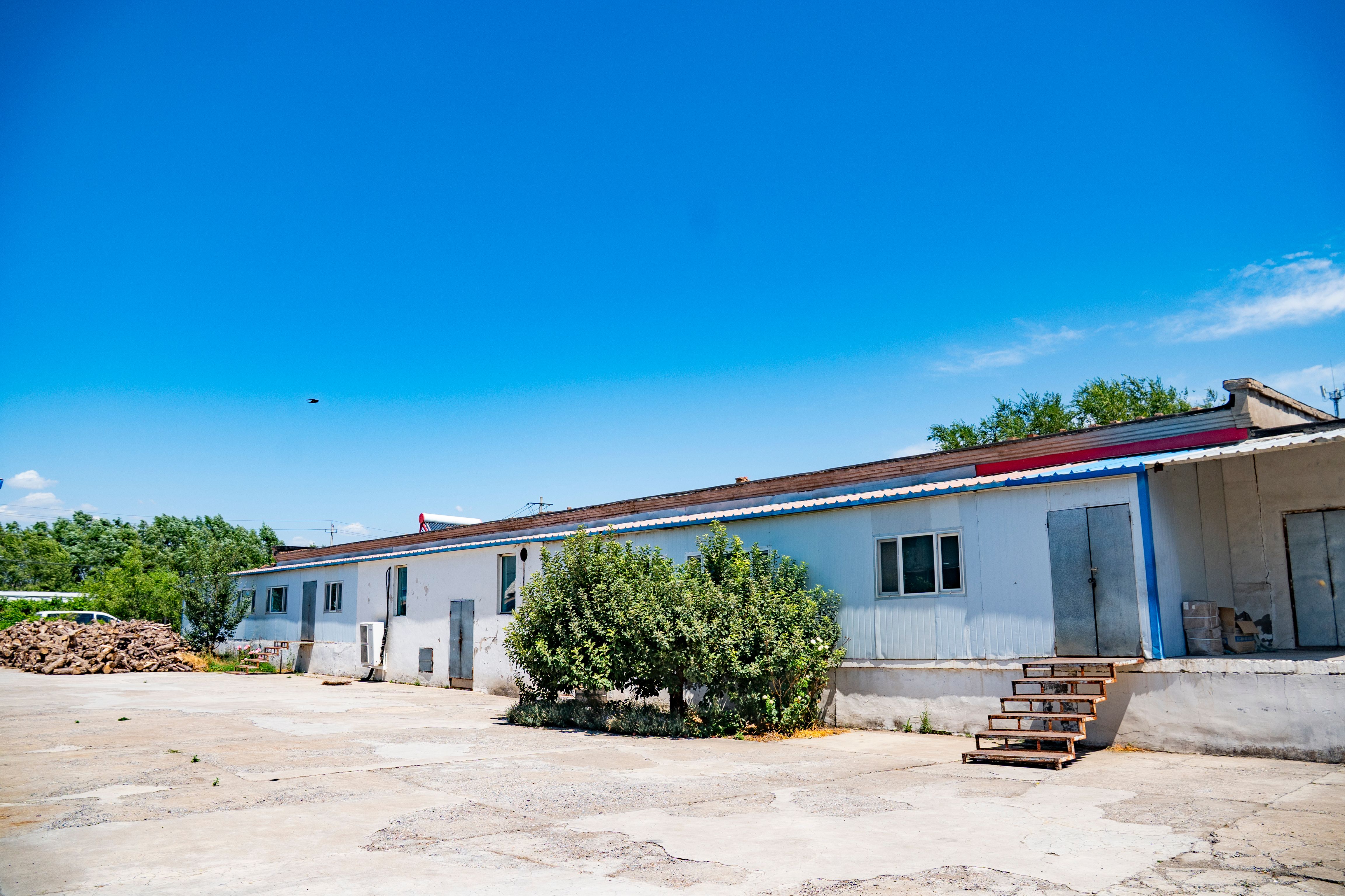 DSC05114修 DSC05114修